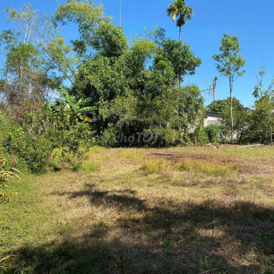 336m2 TNT Trường Xuân Tam Kỳ có 100m2 ODT