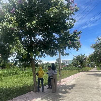 Mở bán 10 lô đấu giá nhà nước sổ tươi sát khu ru lịch ven Đà Nẵng 350t