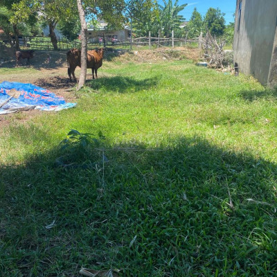 cần bán đất khu dân cư thôn quang phường 5x40