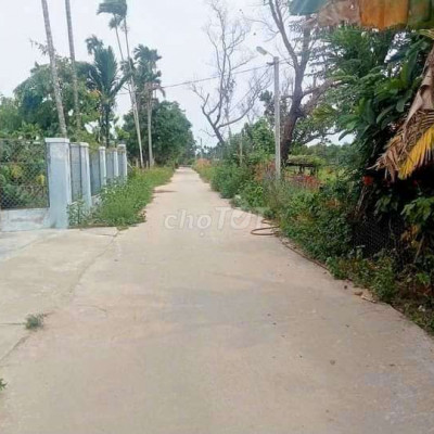 TIN NÓNG !! Tam ngọc TP Tam Kỳ .Phát hiện Cạnh Tam kỳ có lô giá rẻ