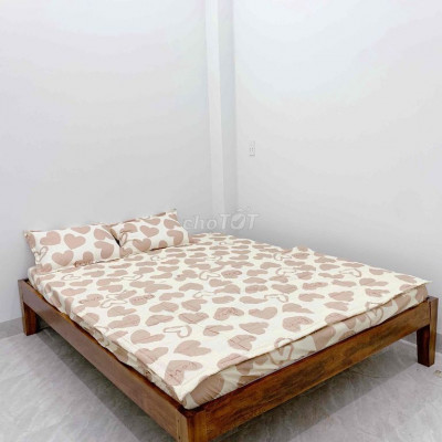 Căn hộ mini giá rẻ