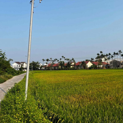 villa view lúa cẩm châu hội an mới 100%