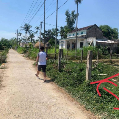 Cần tiền bán thanh lý Gấp gấp chính chủ bán sập hầm đất tam xuân 2