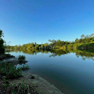 Cần bán views sông tam ngọc 1832m2 có 300 đất ở