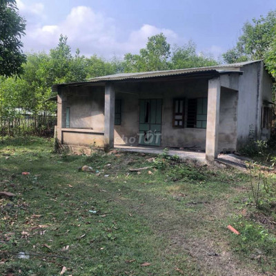 Chủ cần tiền bán đất (6.4ha) 64.500m2 sát đường nhựa