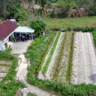 Chính chủ bán gấp đất vườn hưng mỹ bình triều tặng kèm nhà trên đất