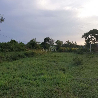 chính chủ bán siêu phẩm lô vườn Tam Ngọc, thôn Đồng Hành,