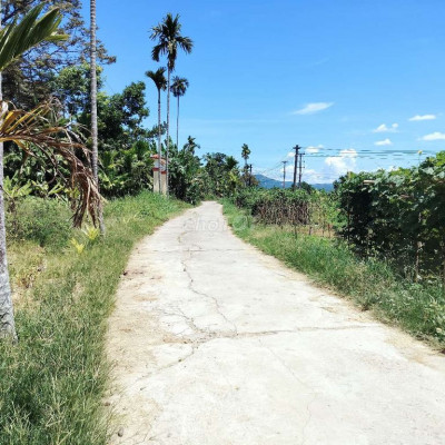 Cần tiền bán gấp nhà vườn tiên thọ tiên phước quảng Nam