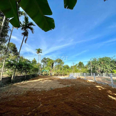 Bán gấp đất vườn tam ngọc tam Kỳ 285m2 có 100m2 đất ở giá tốt