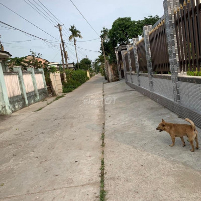 Siêu Phẩm Đường QH 5,5m Mà Giá Chỉ 510 Triệu, Sổ Hồng Sẵn