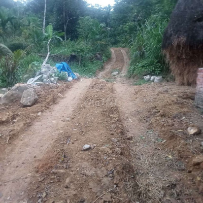 chính chủ cần bán đất vườn vs đất rừng bám suối nhỏ