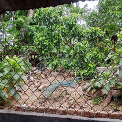 Cho thuê đất vườn mặt bằng buôn bán