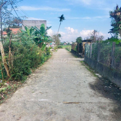 Điện hòa đường bê tông 3m5 giá chỉ 530tr giáp thành phố Đà Nẵng