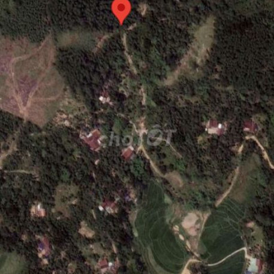 Chính chủ bán đất vườn bích an tam Xuân 1