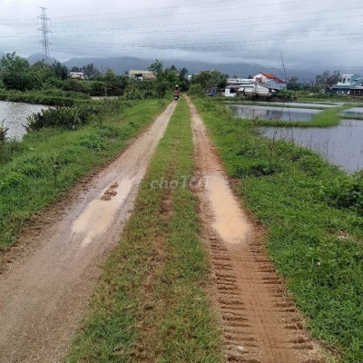 Bán đất cây hằng năm thị trấn núi thánh