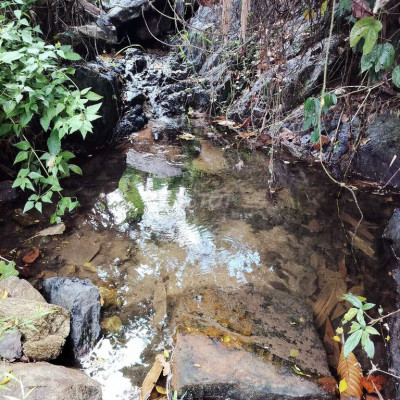 Bán đất vườn gần khu du lịch Sinh Thái thác Ồ ồ tiên châu tiên phước