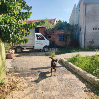 670tr có lô Điện Thắng Bắc gần ngã ba lầu sụp, cách QL1A 150m