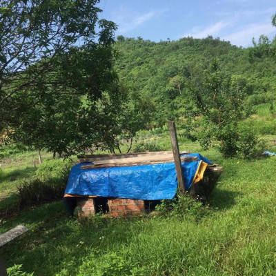 loại nhà ở có đất vườn dễ nuôi trồng . S là 300m2 . 2 phòng ngủ