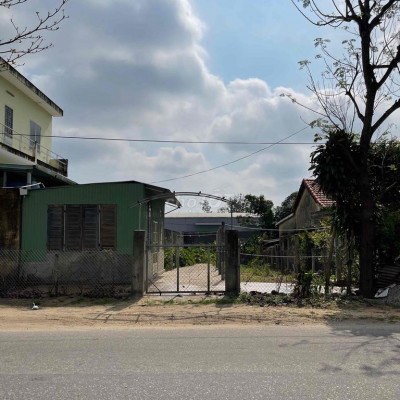 cho thuê đất làm tự do, đất rộng