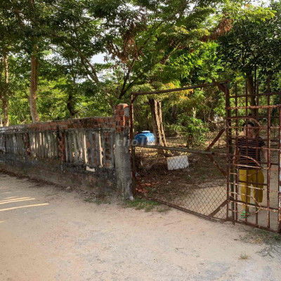 cho thuê đất làm nhà xưỡng giá rẽ