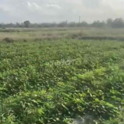 Bán đất 4 mặt tiền gần QL 1A, Q. Nam, 15x21=312m2, giá 70 triệu bao sổ