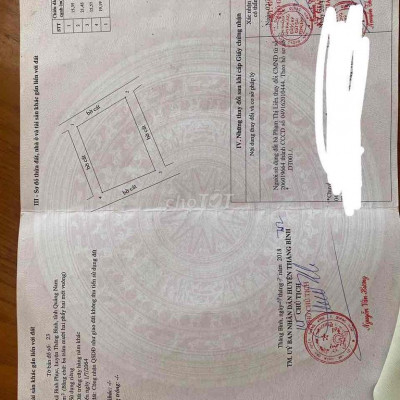 Bán đất 4 Năm Tiền  trồng cây hàng năm 15*21=312m2 giá 70 Quảng Nam