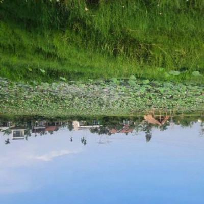 CC CẦN BÁN ĐÂT VIEW HỒ SEN GIÁ SUP HẦM