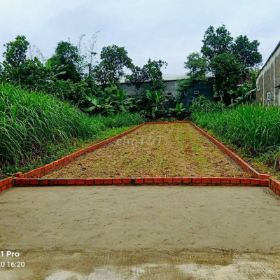 Hàng Điện Bàn Giá rẻ - Chỉ hơn 500 triệu có ngay lô Đất Dưỡng Già