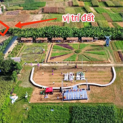 Tìm đâu ra lô 200m2 ngang 8m xây nhà vườn