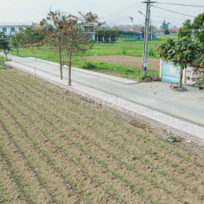 Đất Điện Bàn sập hầm 08/2023, gần Đà Nẵng 130m2, NH hỗ trợ vay 50%