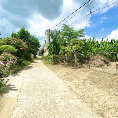 bán lô đất 114m2 vị trí đẹp, giá siêu rẻ, ngõ thông, oto