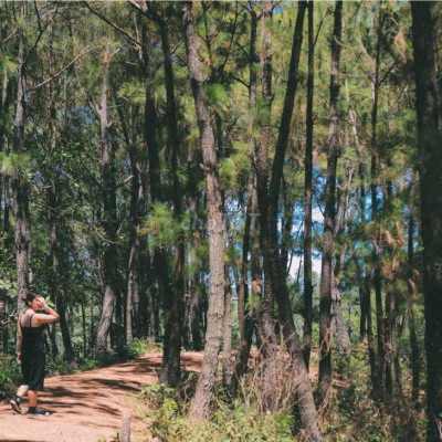 Chính chủ cần bán lô đất xã Điện Tiến, Điện Bàn trả nợ ngân hàng