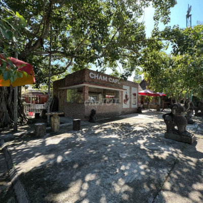 Mặt bằng kinh doanh cà phê, nhà hàng trong khu Thánh Địa Mỹ Sơn