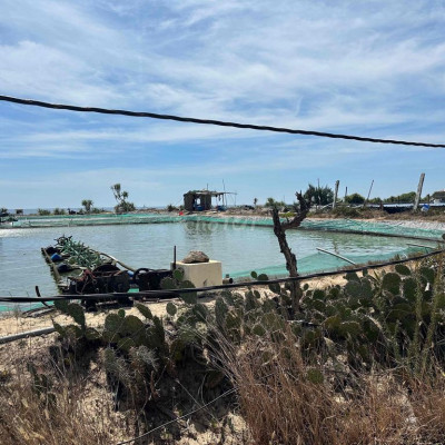 cần Bán gần 5000m2 Mặt biển tại xã Bình Nam,Thăng Bình,Quảng Nam