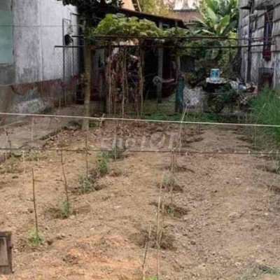 Đất full OĐT phù hợp đầu tư + xây nhà ở