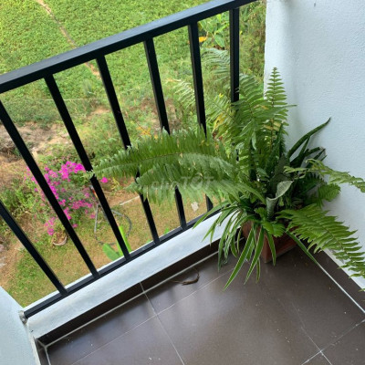 Cho Thuê phòng dạng căn hộ mini (KHÔNG NỘI THẤT)  - Tại Hội An