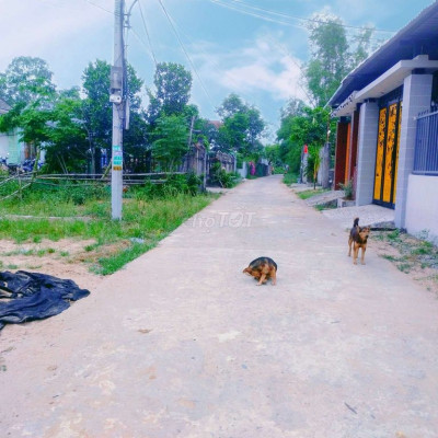 🌹BÁN RẺ LÔ 130m2 GIÁP RANH HOÀ TIẾN CÁCH DT605 100m ĐƯỜNG BETONG OTO