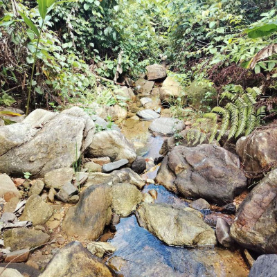 Bán 7ha bám đường bê liên xã bám suối nhỏ phù hợp làm trang trại