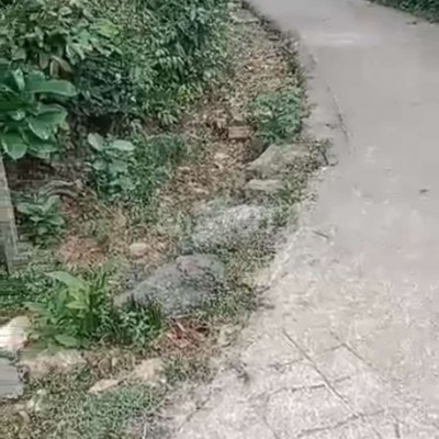 cắt lỗ 300tr Bán gấp nhà vườn hơn 1000m2 có 300 đất ở giá chỉ 580tr