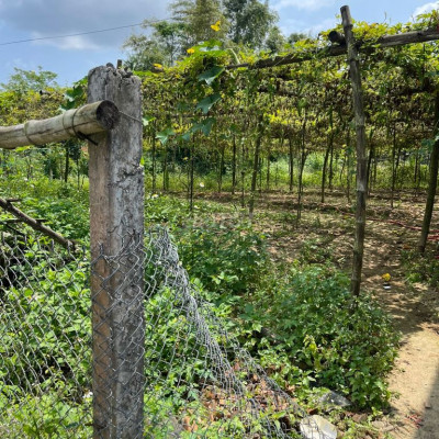 Cần bán đất ở diện tích 92m2 điện nam đông