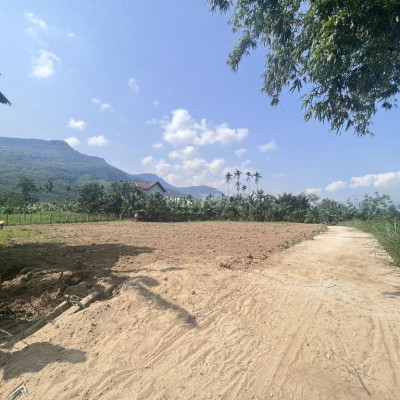 Đất sổ đỏ 168m2 ngang 7m Đại Lộc, Quảng Nam