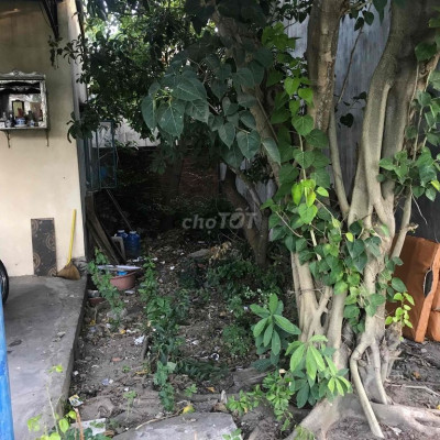 Nhầ kiệt bê tông ô tô vào tận nơi