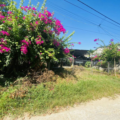 Bán 205m2 - Ngang 11m tách sẵn 2 sổ - Gần ngay chợ Đình - Sân vận động