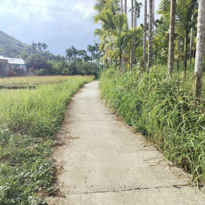 chính Chủ cần bán nhà vườn 3000m2 có 200 đất ở  Đã trồng cây ăn quả