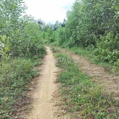 Em  chính chủ bán gấp lô 15 hetta, bám suối tặng kèm keo 3 năm