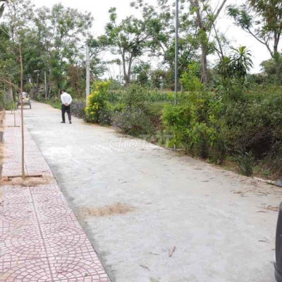 Ngộp Bank lô Điện Phương gần bê thui 10