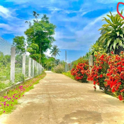 Mở bán KDL Vườn Dừa,Đại Quang-Giáp Ái Nghĩa 5p,giá chỉ 2xxtr/lô