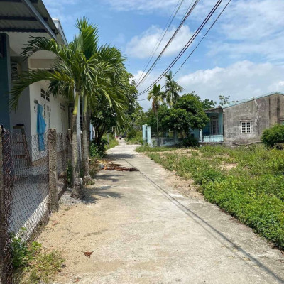 Đất kiệt Mai Đăng Chơn, Điện Ngọc