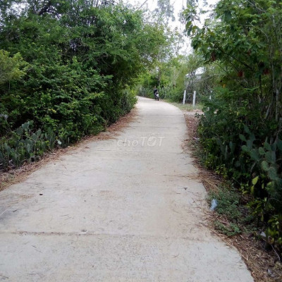 Bán đất gần ngã tư Bình Đào