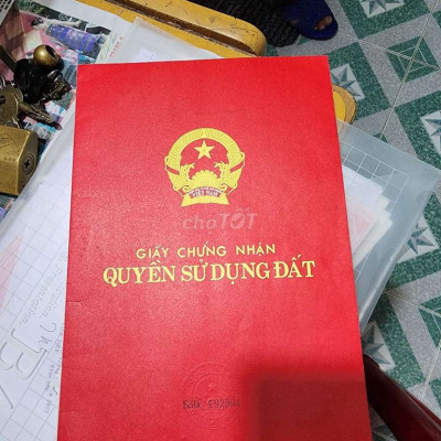 Chính chủ 4 Hecta oto vào tận đất trông cây (đất gạch)